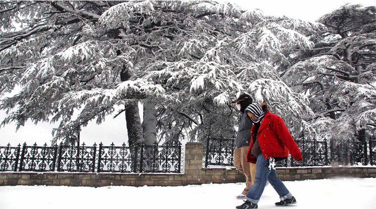 Honeymoon in Shimla